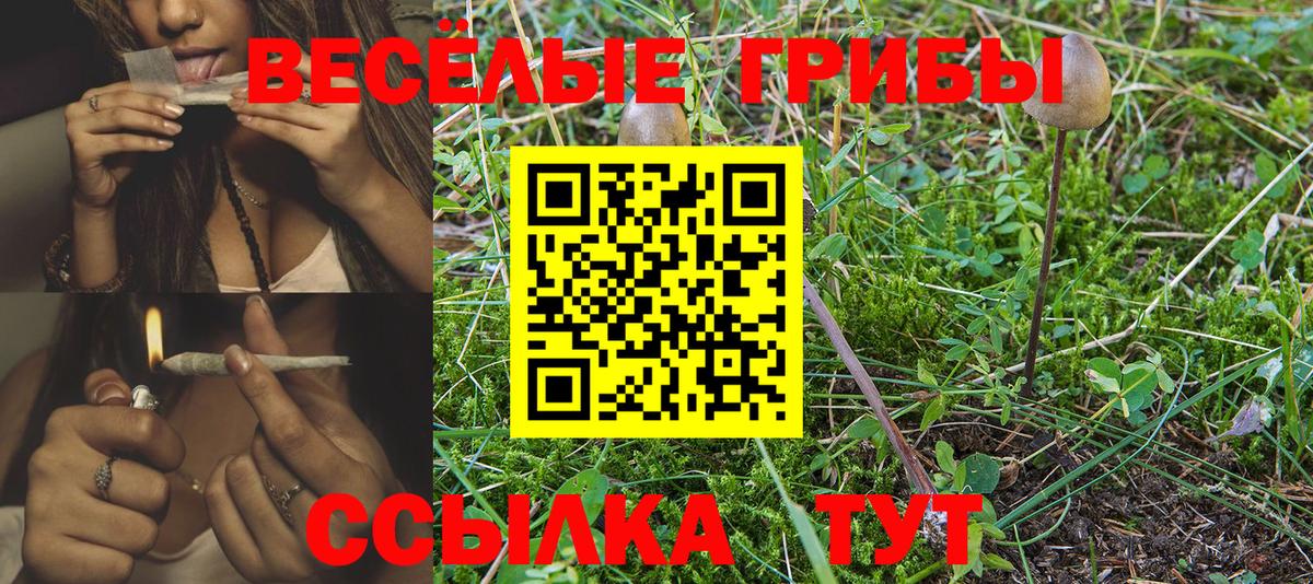 Галлюциногенные грибы GOLDEN TEACHER Кировск